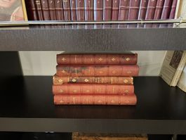Lot de 5 livres anciens - Idéal collectionneur!