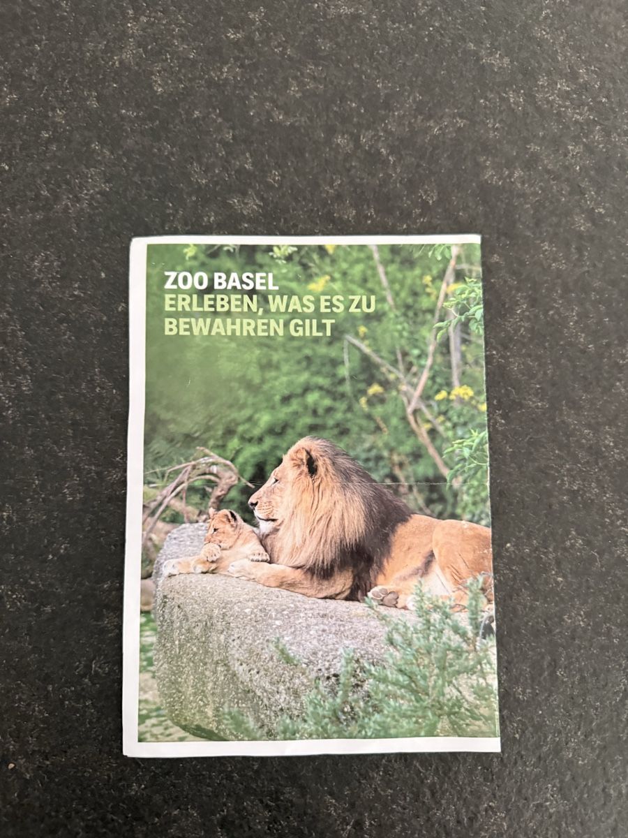 Buoni: 40.- Gutschein Zoo Basel – Nuovo (secondo la descrizione) da Bern venduto da tim_ypf8