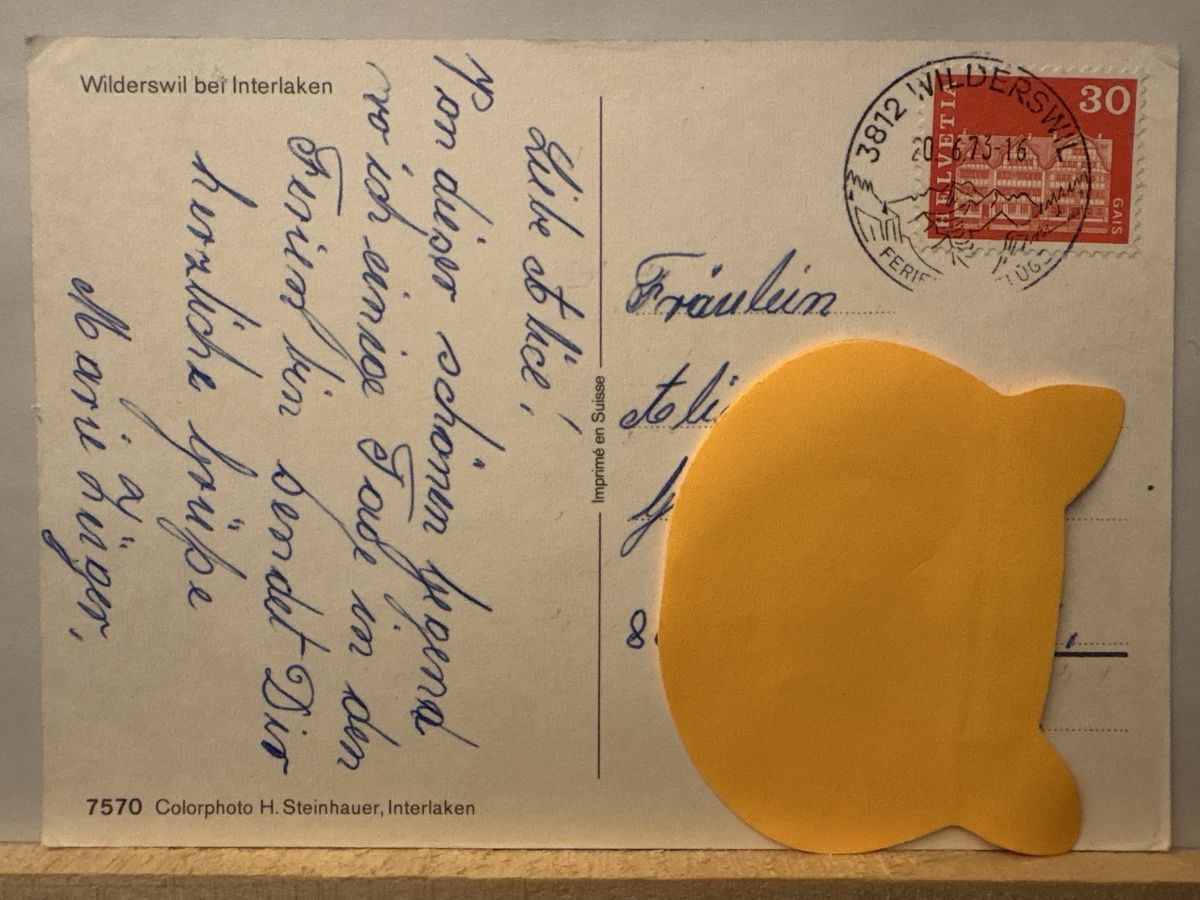 Cartoline postali: AK von Wilderswil – Usato da Rümlang venduto da Brieftaube1 1