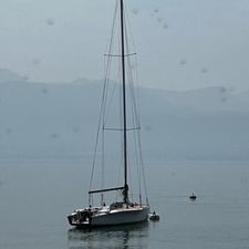 Profile image of lor_wnt2