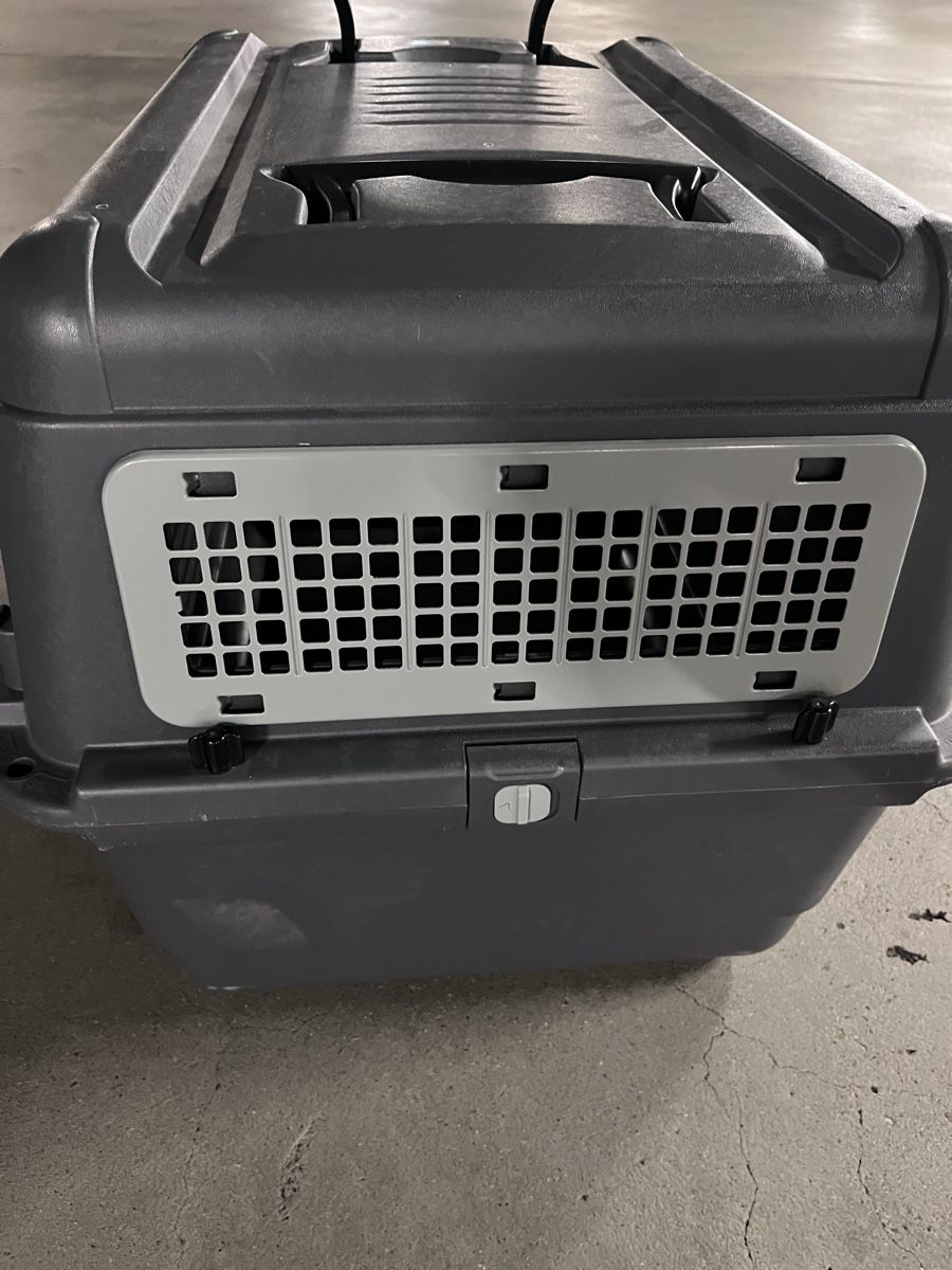Gabbie, trasporto & Sicurezza: Transportbox von Anione – Usato da Niederhasli venduto da JUPOGI 1