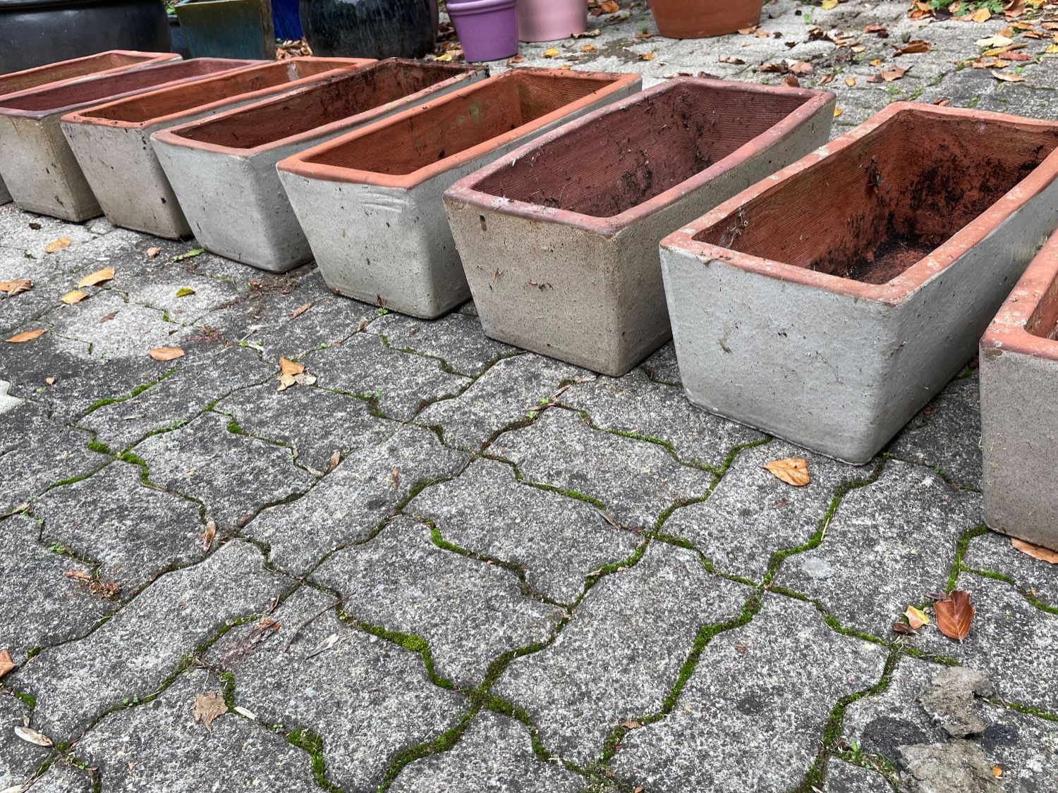 Blumentöpfe: 8 Grosse Blumentöpfe – Gebraucht aus Basel von Exceptnotes 1