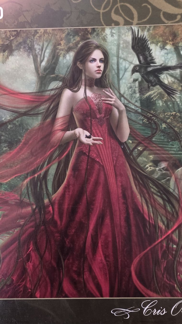 Heye Puzzle: Heye Puzzle 3000 Teile "Forgotten" – Usato da Roggwil TG venduto da Seinija 1