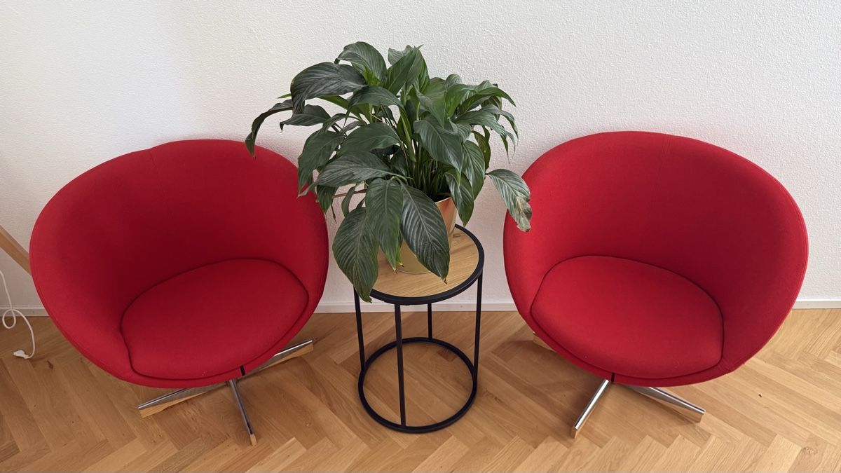 Poltrone: Fora Form Design Stuhl Planet – Usato da Savognin venduto da Bonseii