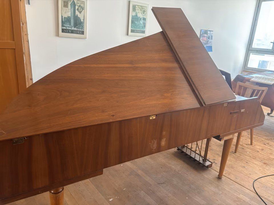 Strumenti musicali: Cembalo "William de Blaise ", 2-manualig, 7 Pedale – Usato da Wald ZH venduto da Daabo 4