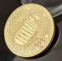 Münze 50 Jahre MONDLANDUNG goldfarben 1969 Mond 2019 Eagle