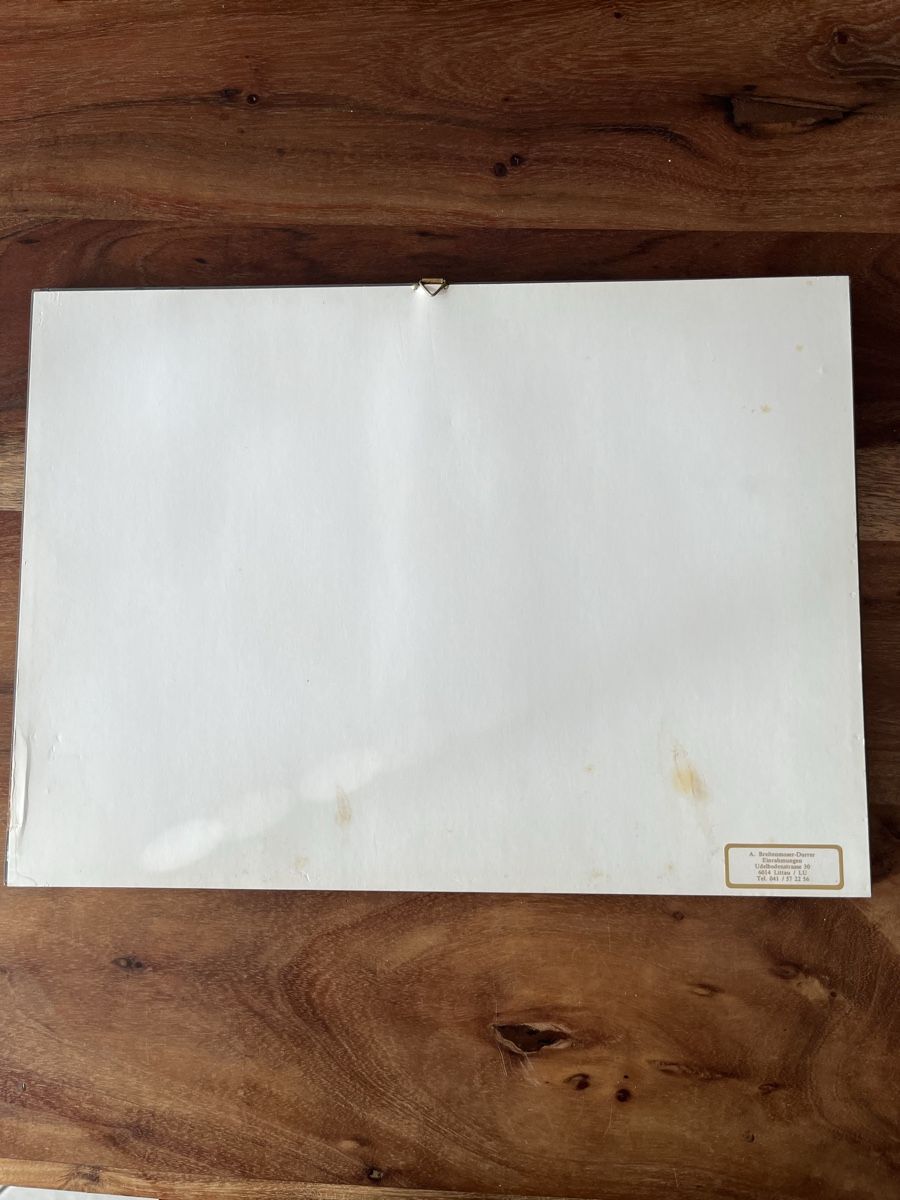 Foto & Immagini: Kunstdruck Hofkirche Luzern – Usato da Meggen venduto da Monthy62 1