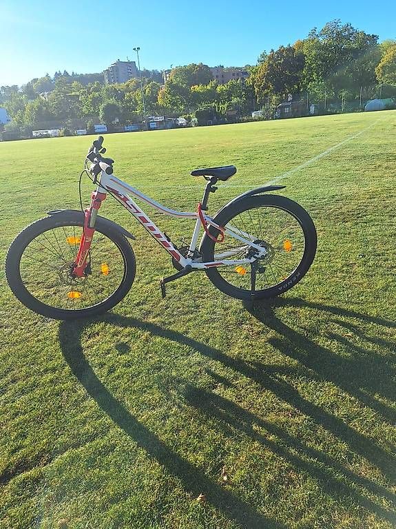 Scott Vélos: Scott-Mountainbike – D'occasion à Winterthur par rit_kt65