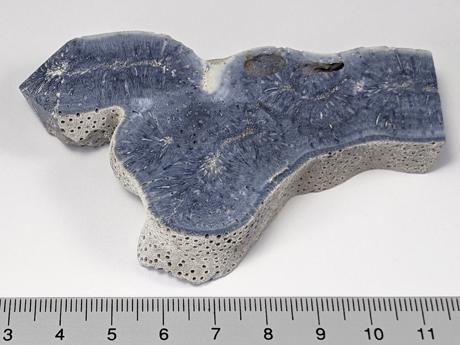Mineralien & Heilsteine: Schaumkoralle Stein 8,4cm mit Stehfläche – Neu und originalverpackt aus Meilen von StoneGarden 1