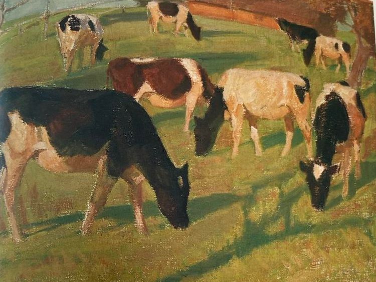Libri: Franz Elmiger Ermensee  Maler Kunstbuch - Harlekin Verlag, – Usato da Luzern venduto da waterfront1 1