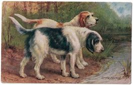 Hunde, Otter Hounds, Künstlerkarte Tuck's, gelaufen 1932