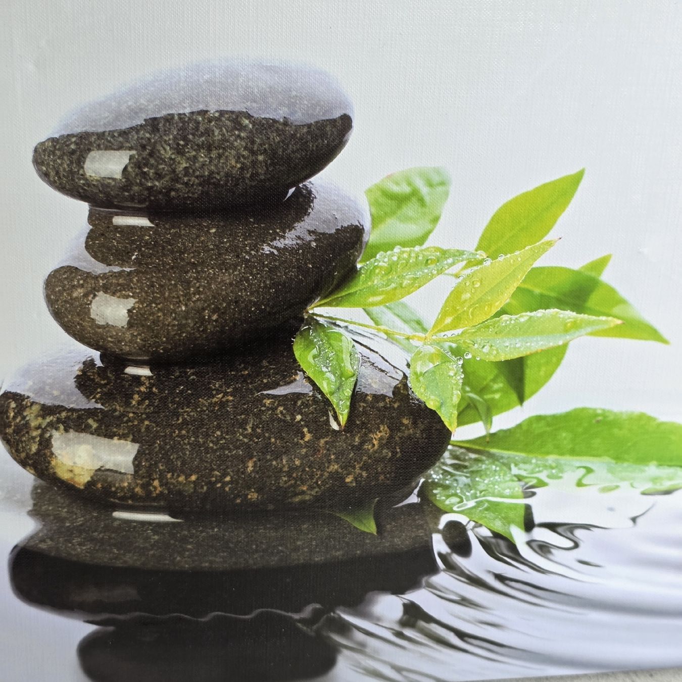 Posters & Illustrations: Bild Zen Steine mit Blatt  – D'occasion à Rheinsulz par Gilea 1