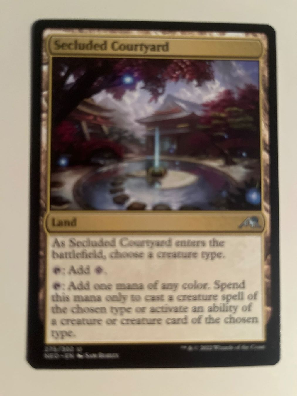 Magic The Gathering Carte collezionabili: 1 x Secluded Courtyard - Magic: The Gathering - MtG – Usato da Kriens venduto da Shadi1980