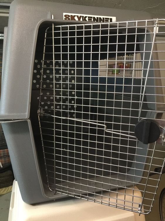 Hundebox Sky Kennel Giant Kaufen auf Ricardo