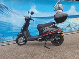 Neuwertiger E-Roller (50 ccm) – Neuer Akku, 60 km Reichweite