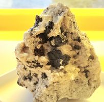 Mineralien- Cervandonit, Rutil top Kristall 1cm Magnetit
