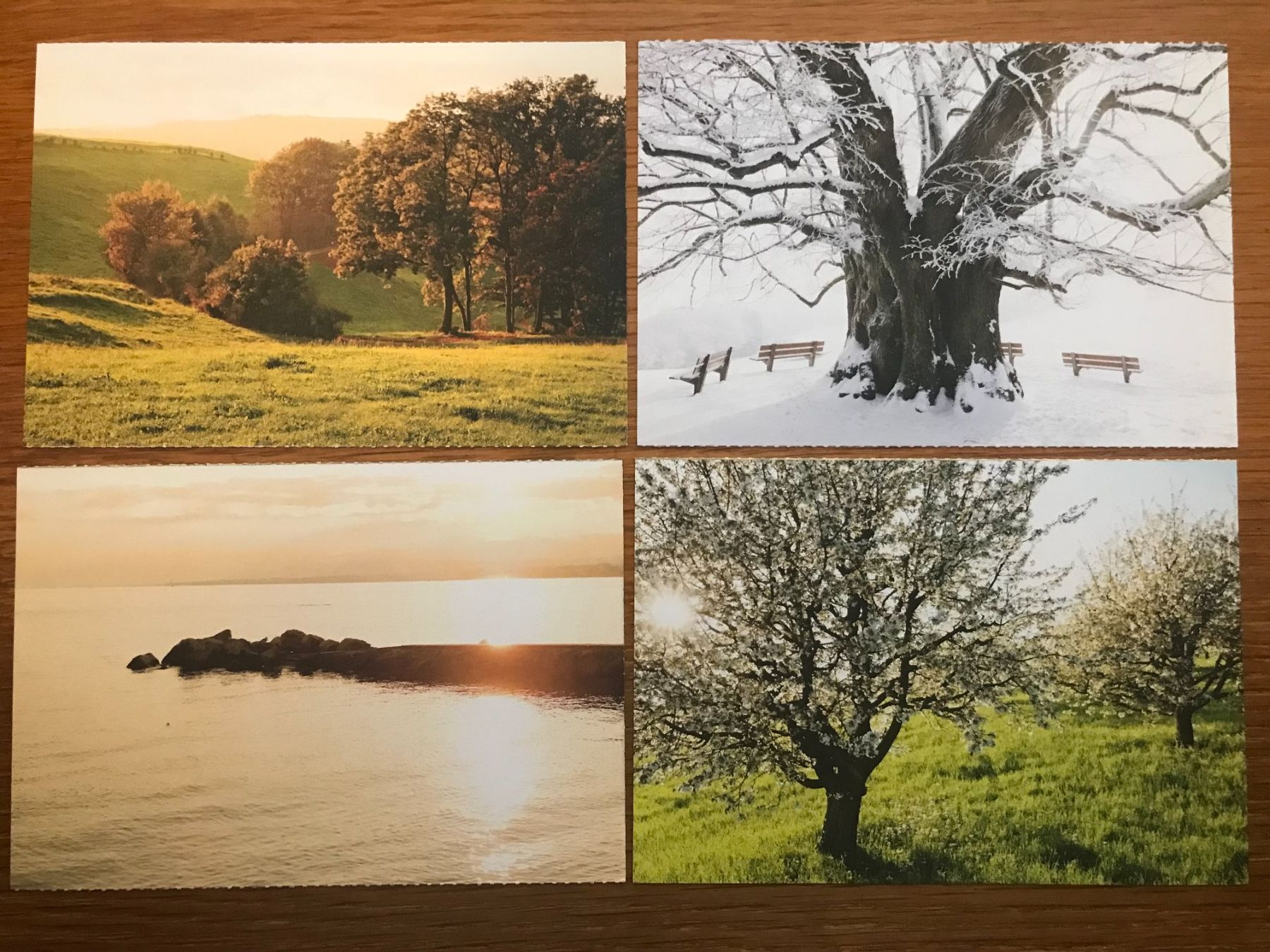Cartoline postali: 4x Postkarten Schweizer Post vorfrankiert 1.00 CHF – Usato da Luzern venduto da mey_s13