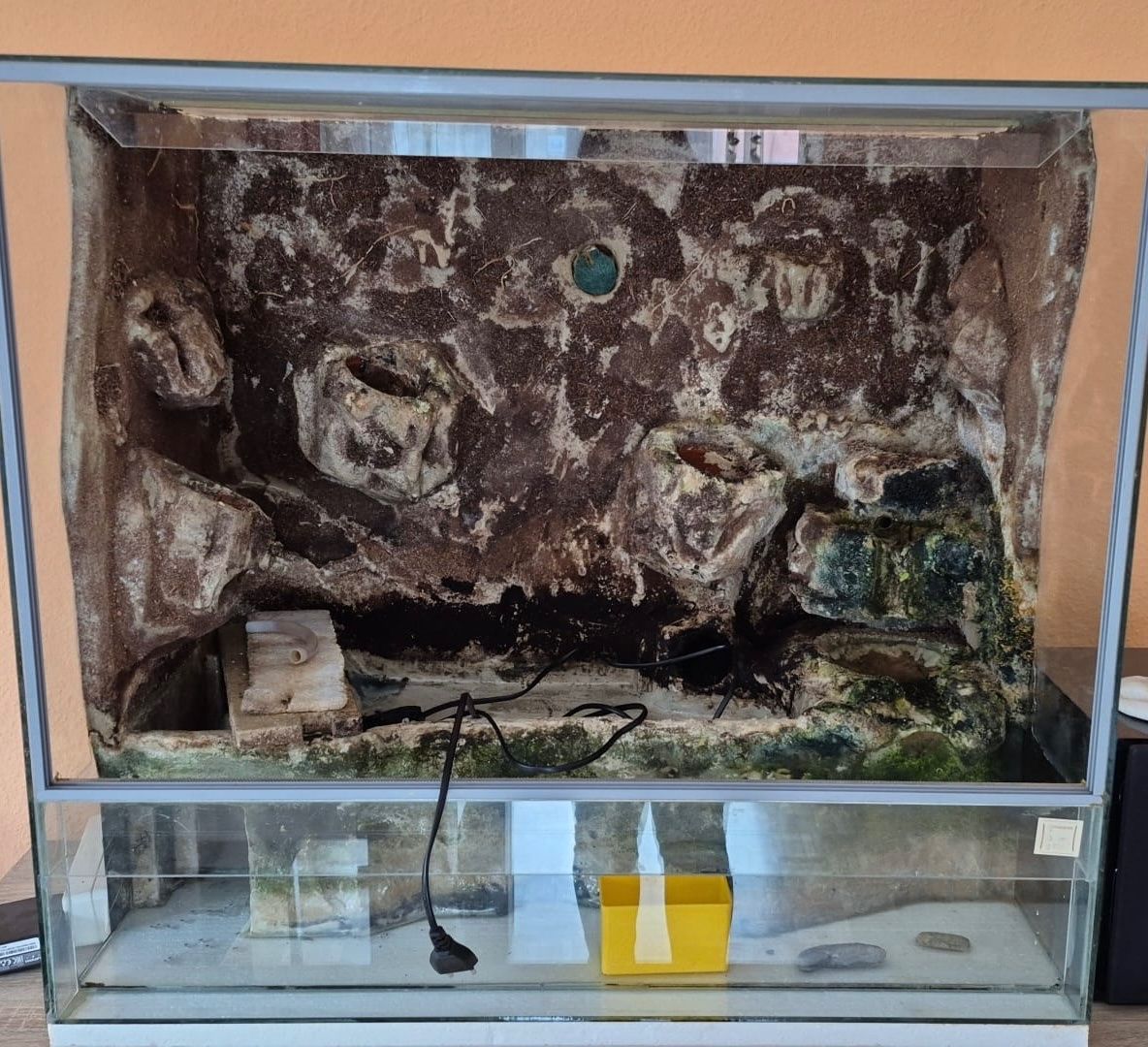 Terrarium: Terrarium mit Wasserfall Komplettset – Gebraucht aus Rothrist von egg_9wck 6
