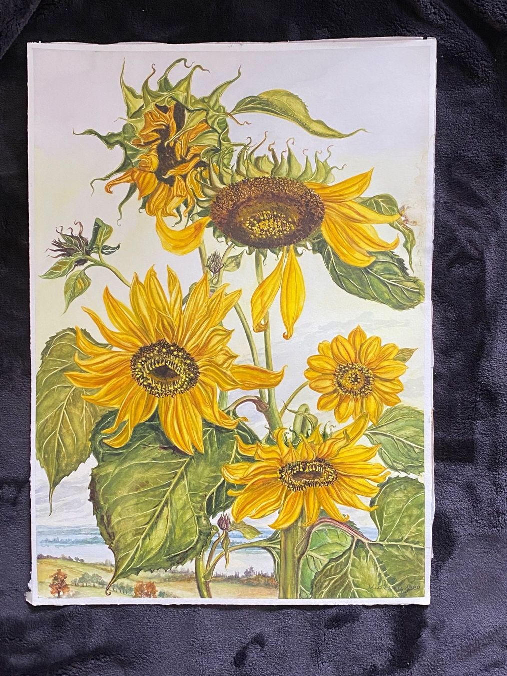 Dipinti: Sonnenblumen, Kundry Niederhauser – Usato da Kreuzlingen venduto da don_ueli6wb5