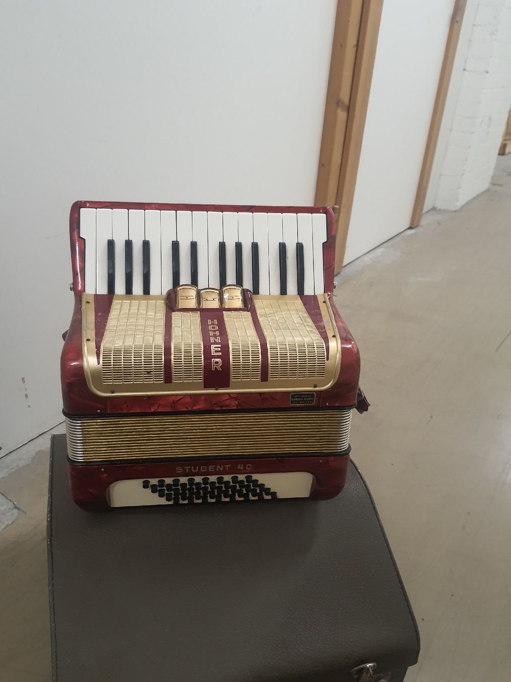 Hohner Strumenti musicali: accordéon hohner à piano  – Usato da Pont-de-la-Morge venduto da Mirabelle0