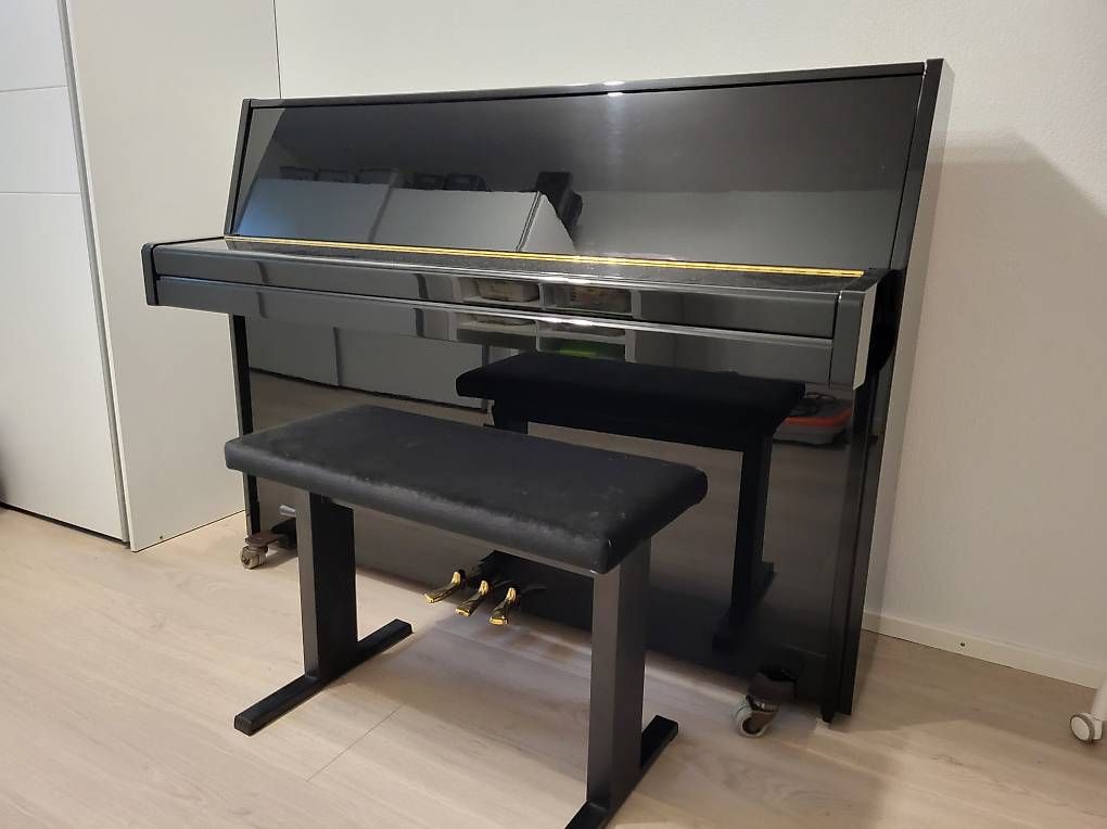 Strumenti musicali: Yamaha Klavier – Usato da Langrickenbach venduto da Chevy012