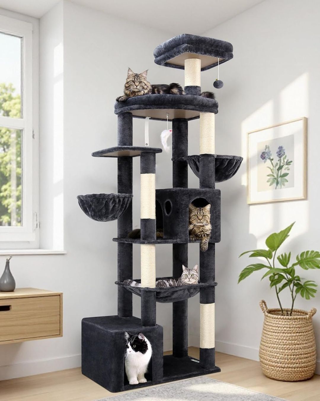 Kratzbaum Katzen XXL Katzenbaum 193cm stabil dunkelgrau NEU (Neu und  originalverpackt) in Wittenbach fr CHF 199  mit Lieferung auf Ricardo  kaufen