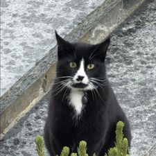 Profile image of Maximilian89