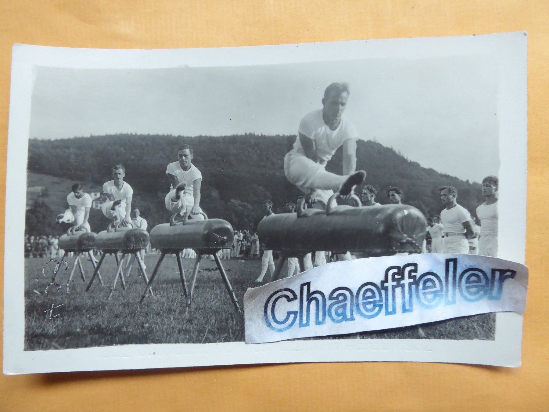 Cartoline postali: 1932 Turnfest Aarau – Usato da Zürich venduto da Chaeffeler