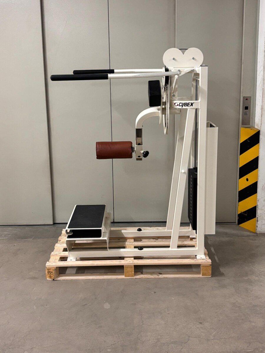 Cybex Vélos d'appartement: Occasion Cybex VR Rotary Hip – D'occasion à Liestal par FitCom 2