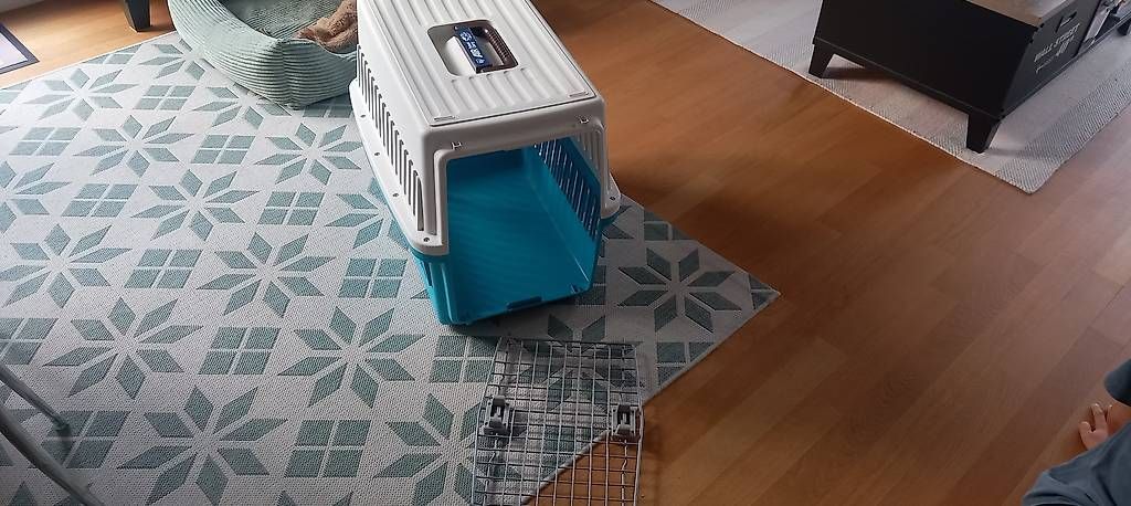 Gabbie, trasporto & Sicurezza: Hundebox – Usato da Aathal-Seegräben venduto da Reto1203 1