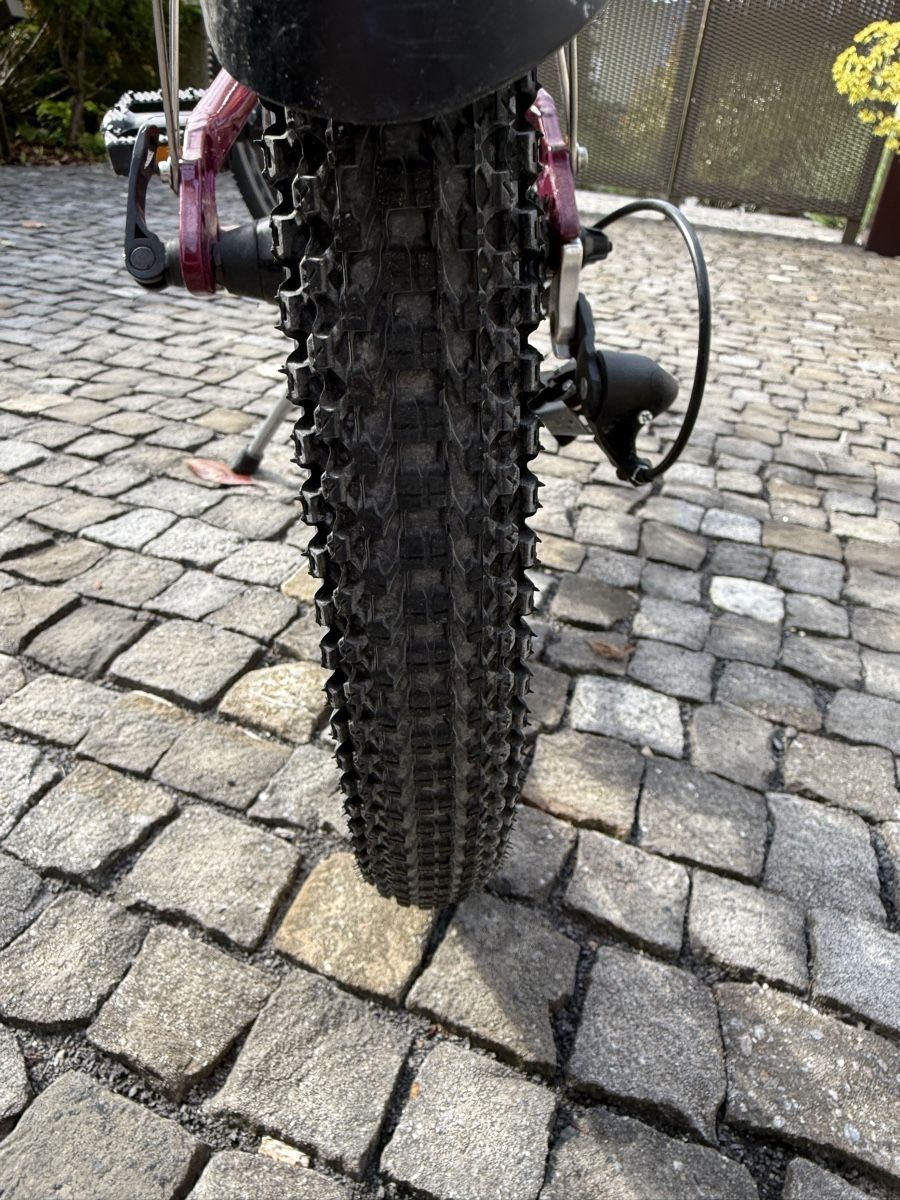 Crosswave Biciclette: 20” Crosswave velo  – Usato da Meggen venduto da Petra-Arte 4