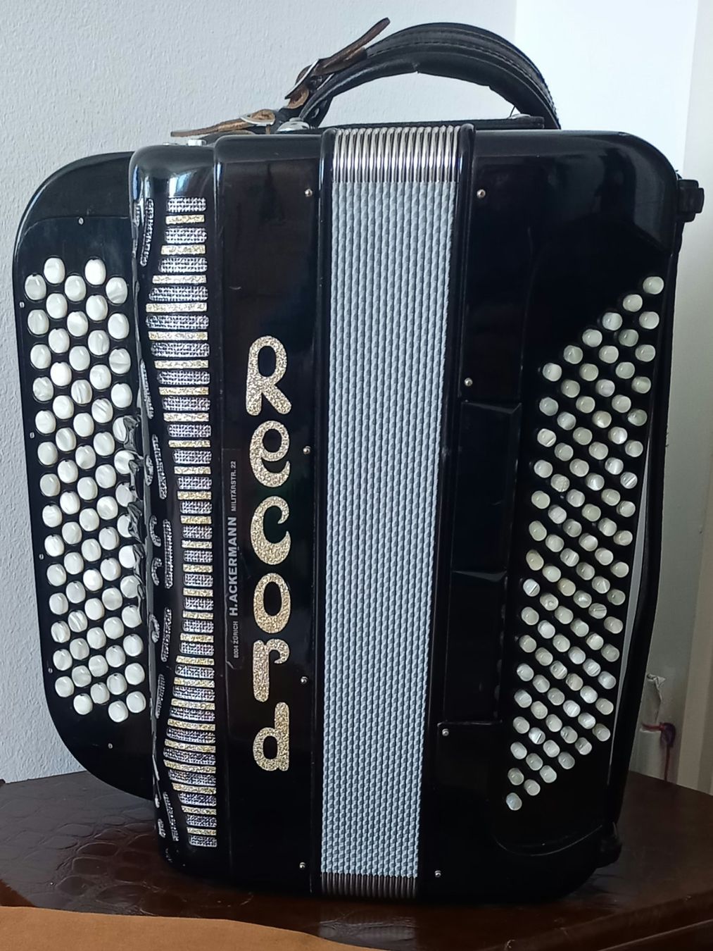 Record Strumenti musicali: Akkordeon – Usato da Meilen venduto da appoloni