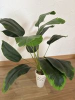 Artificial Plant with Pot - Adds a touch of Green Indoors