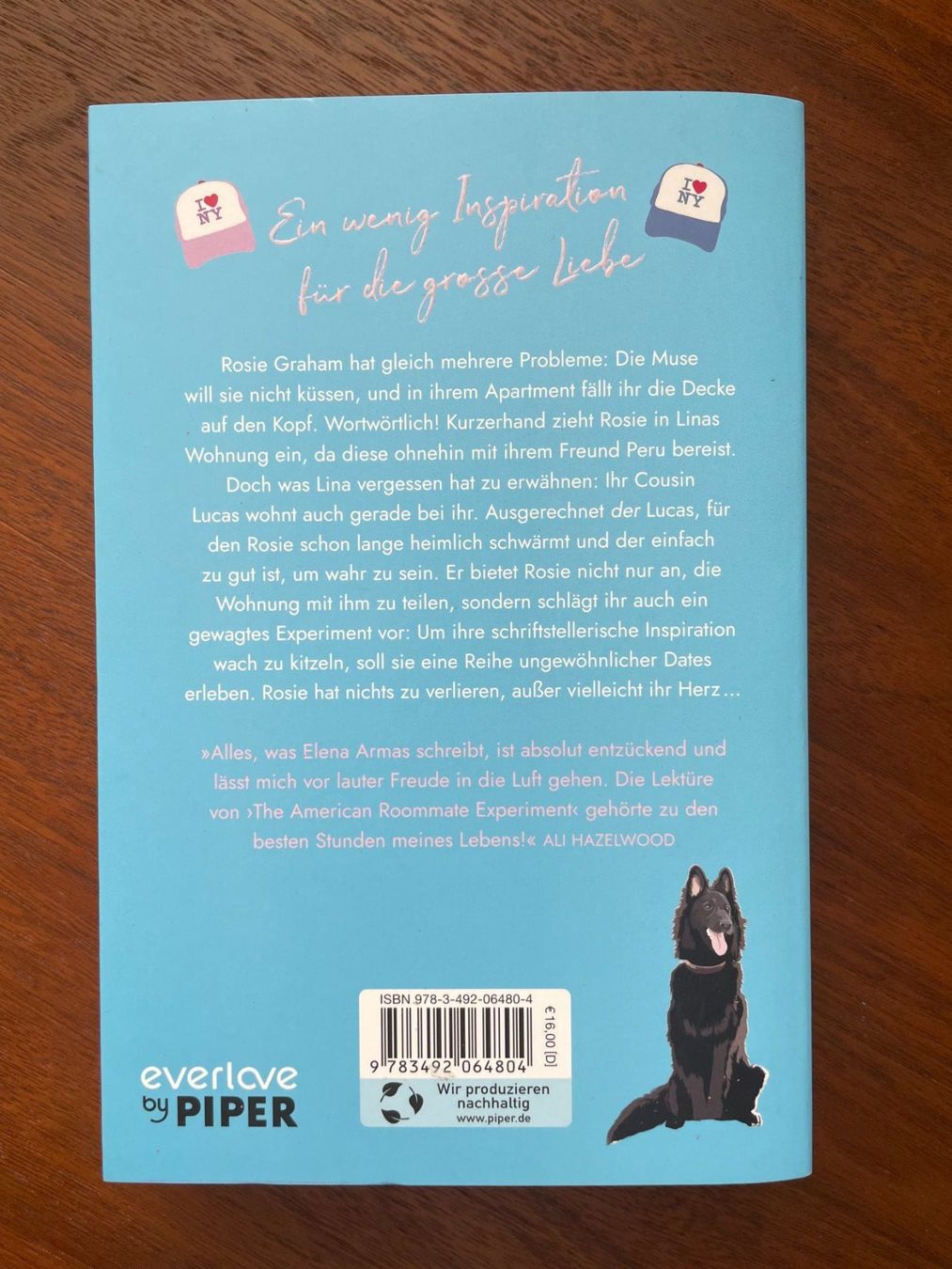 Libri: The American Roommate Experience – Usato da Buochs venduto da Baerti07 1