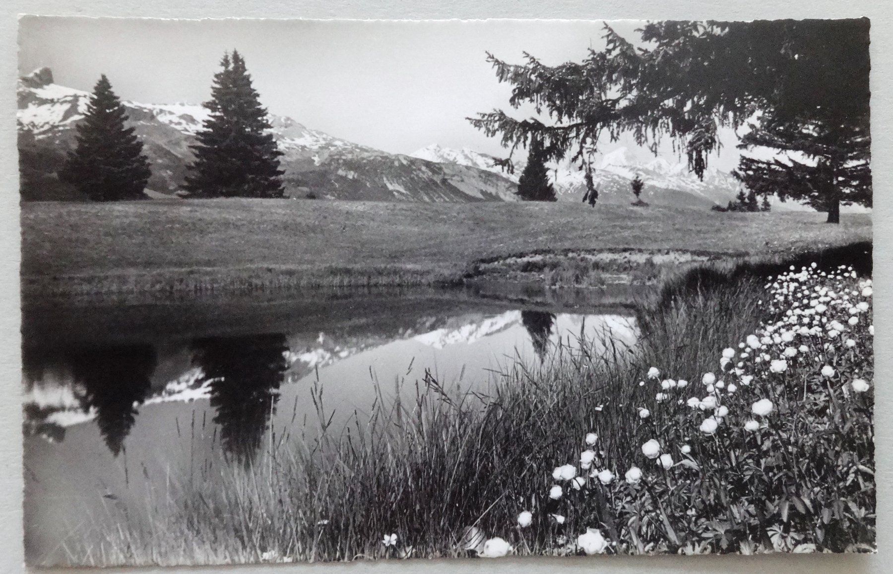 Cartoline postali: Crans s/Sierre, alt. 1500 m, Lac Blanc – Difettoso da Fétigny venduto da Billy2miny