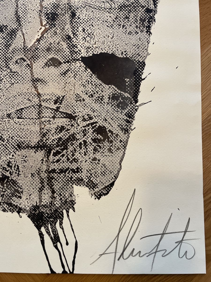 Grafica & Litografie: Vhils - Street Art – Nuovo e nell'imballaggio originale da La Tour-de-Trême venduto da ArtEnVue 5