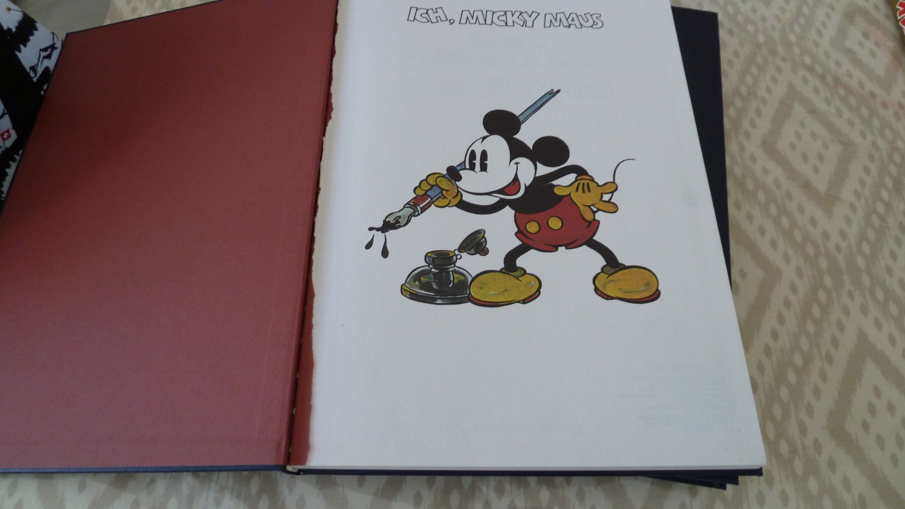 Libri: Walt Disney Bücher 9 mal – Usato da Root venduto da Nascar89 4