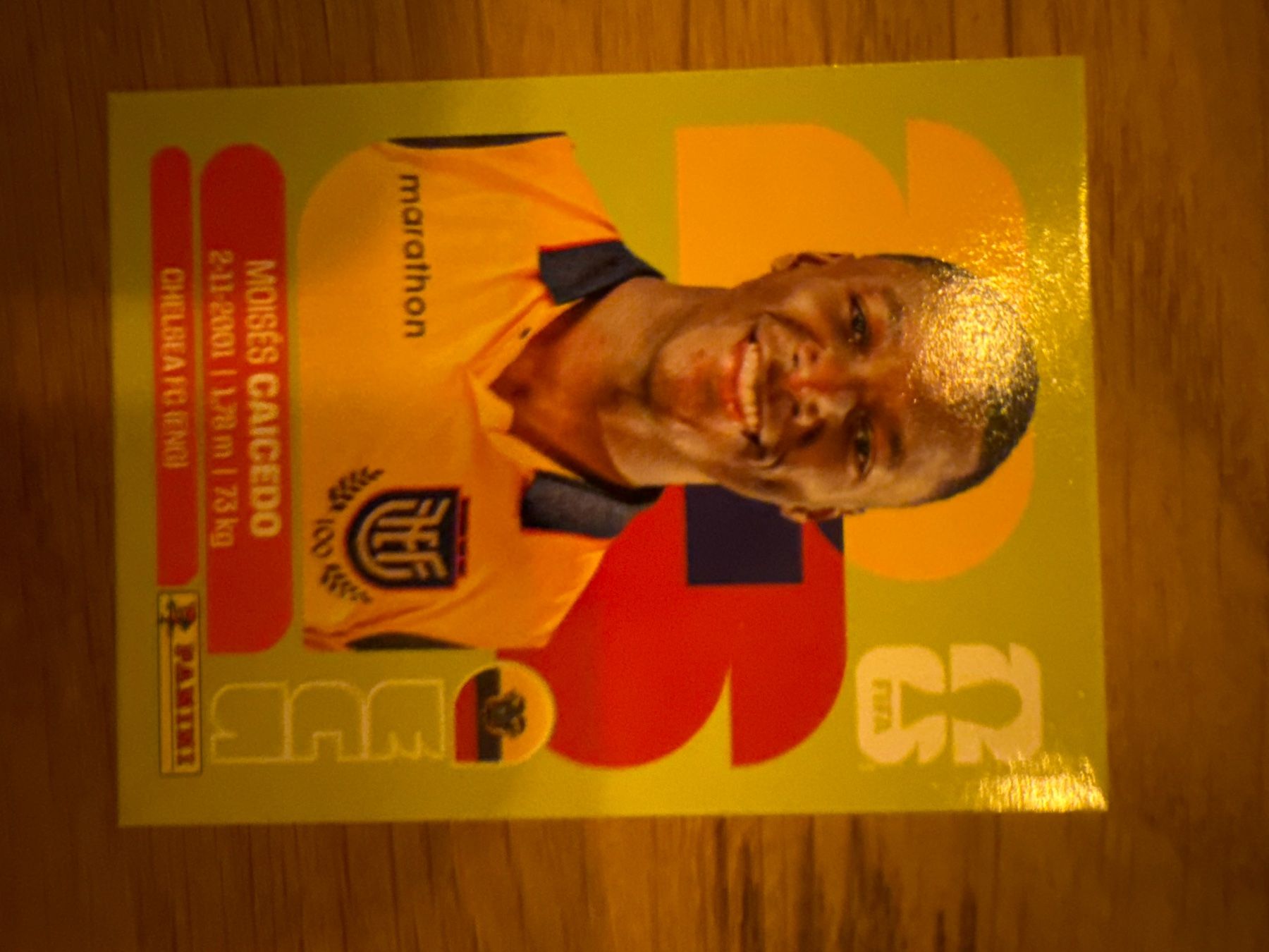 Panini Carte collezionabili: Panini – Usato da Langnau i. E. venduto da Acrjl
