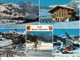 Lenk 1989