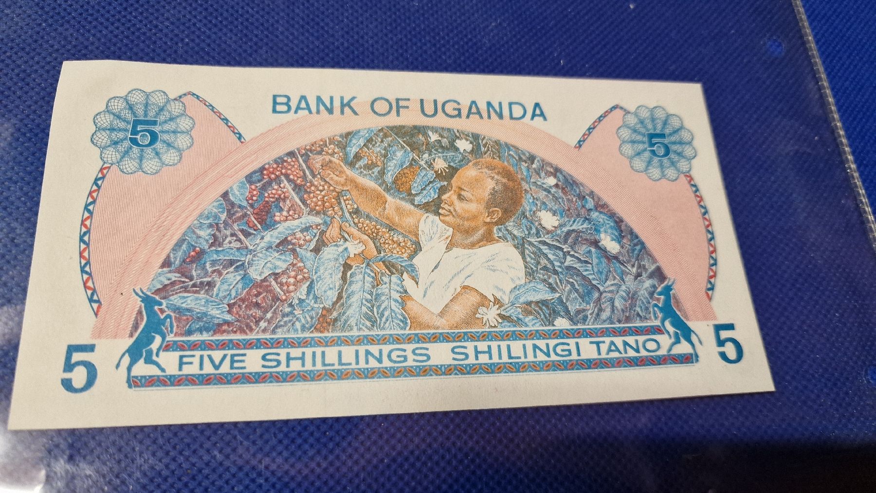 Banconote: Banknote Uganda 1979 NEU – Usato da Herisau venduto da Antiques.AR 1