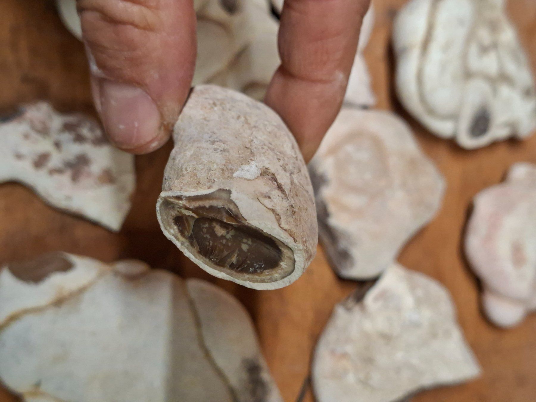 Minerali & Pietre curative: Opale ménilite – Nuovo (secondo la descrizione) da La Praz venduto da marcus118 2