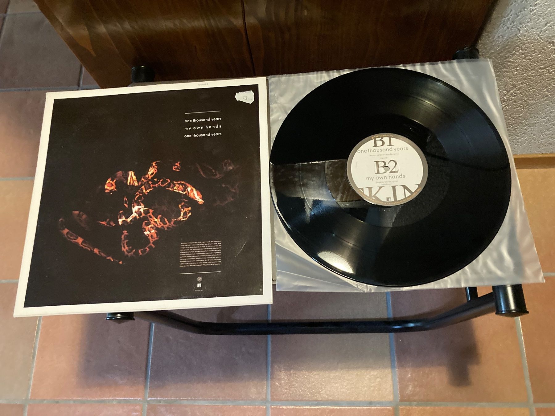 Dischi in vinile: Skin - One Thousand Years – Usato da Fribourg venduto da Karushi 1