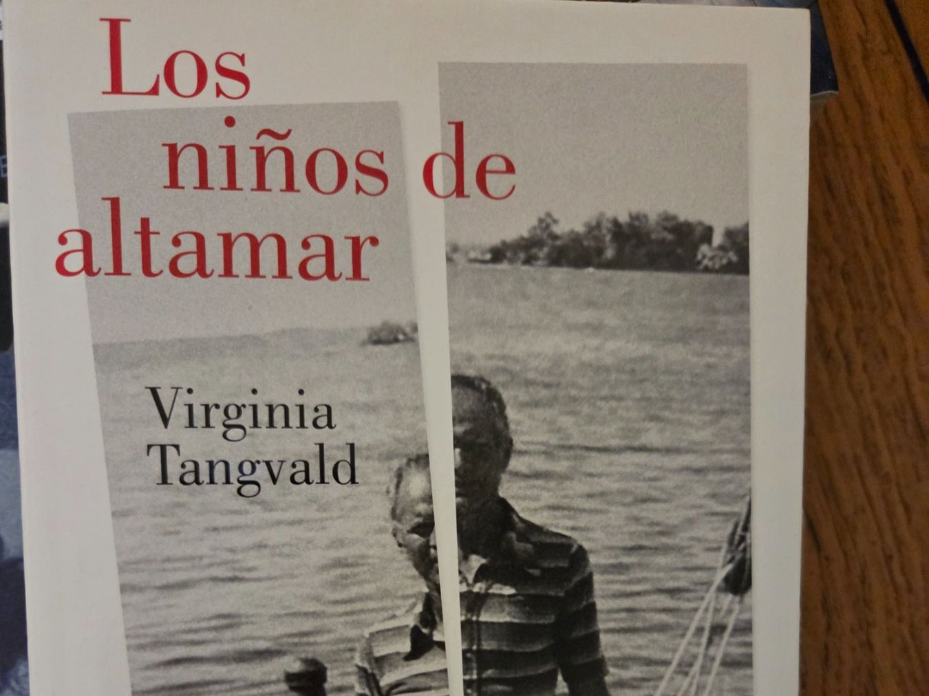 Libri: Perfekt gepflegte spanische Literatur – Usato da Zürich venduto da Anja67 5