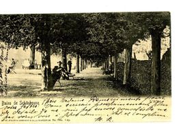 Schönbrunn - Bains de ... belebt + 1903
