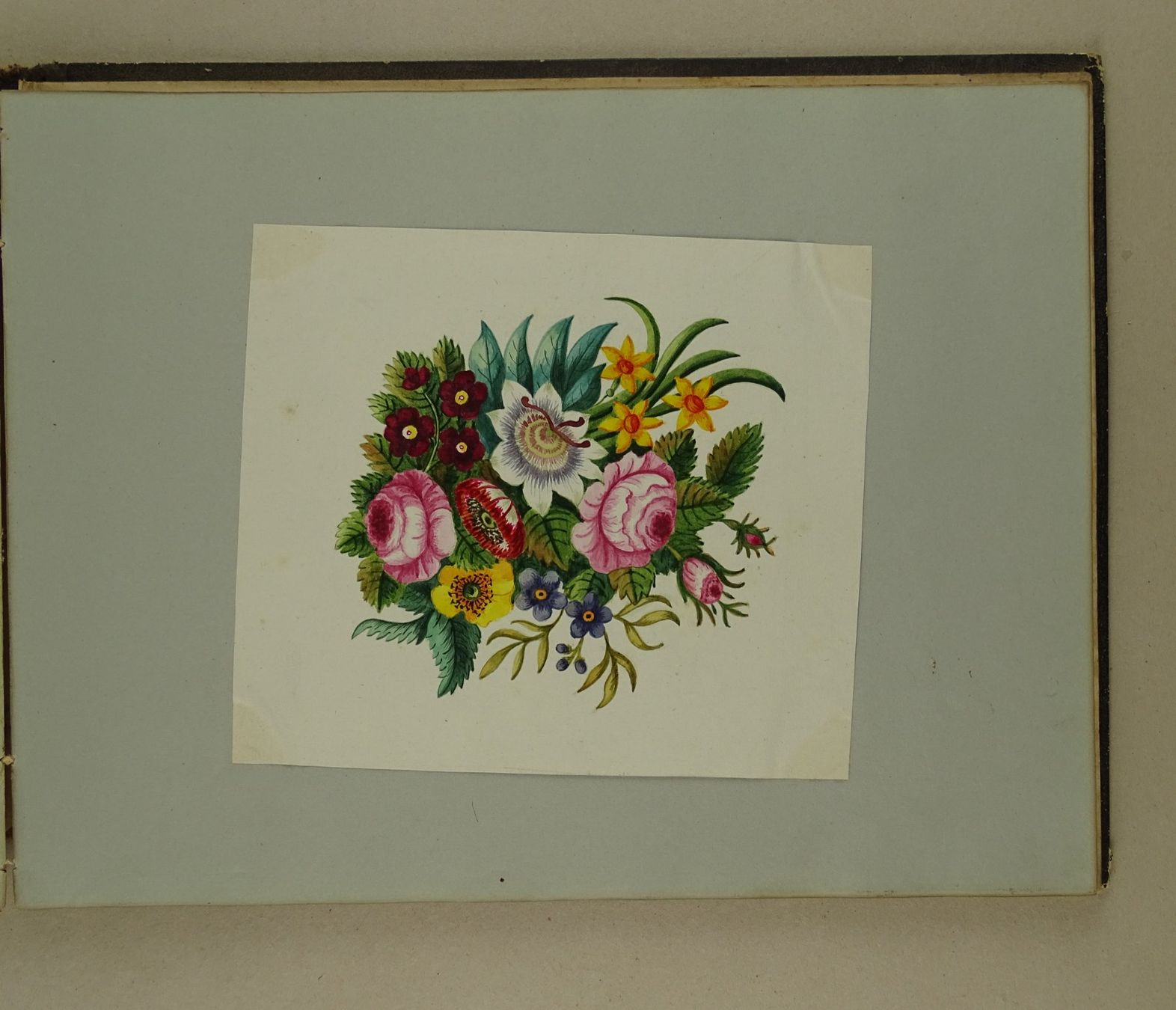 Libri: ALBUM MIT EINGEKLEBTEN BLUMENLITHOGRAPHIEN, BIEDERMEIER – Usato da Grüningen venduto da Kartensammler 8