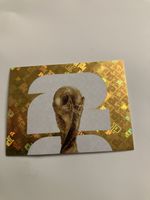 Panini WM 2026 Sticker United Edition - Guter Zustand