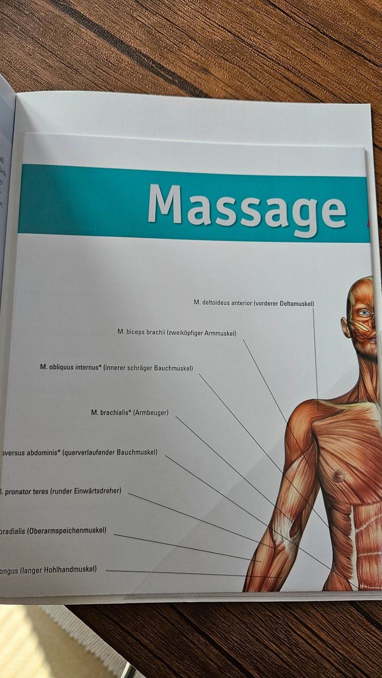 Libri: Massage Anatomie - Mit Poster – Nuovo (secondo la descrizione) da Lengnau AG venduto da jbline 3
