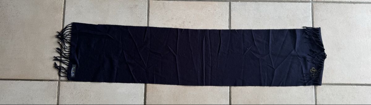 FC Basel Foulard & Sciarpe: Fc Basel Schal  – Usato da Lenzburg venduto da Meister_k 1