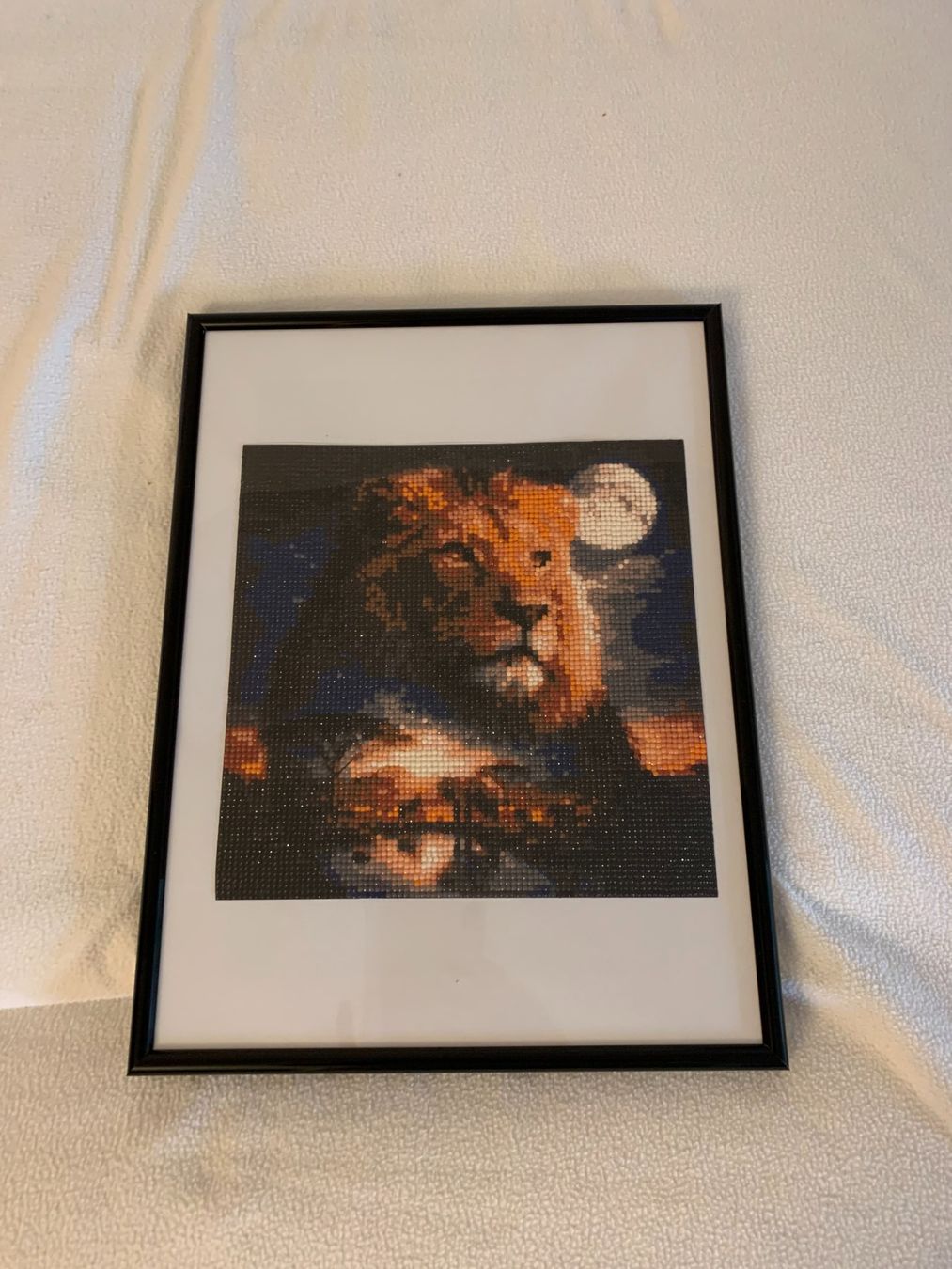 Foto & Immagini: Diamantenmalerei Bild mit Löwenkopf – Nuovo e nell'imballaggio originale da Niederwangen BE venduto da ger_2j7l