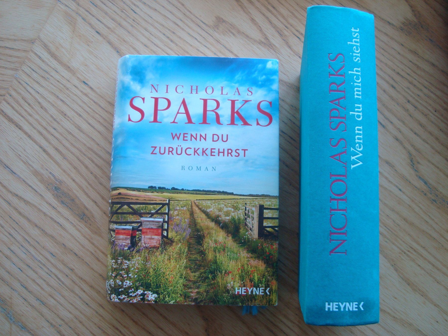 Libri: Nicholas Sparks (2 Bücher) – Usato da Aesch LU venduto da wysshan